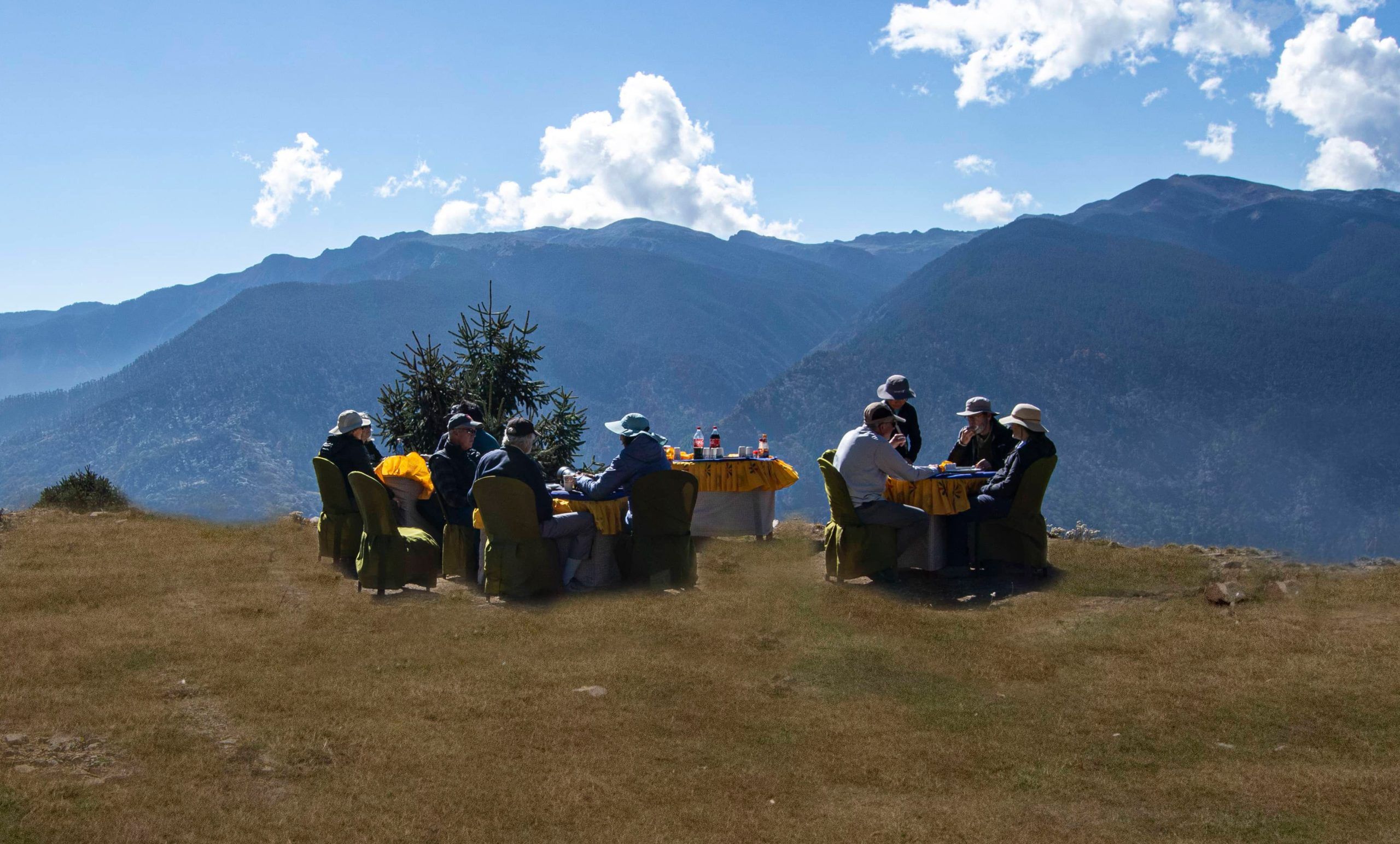 bhutan custom birding tours