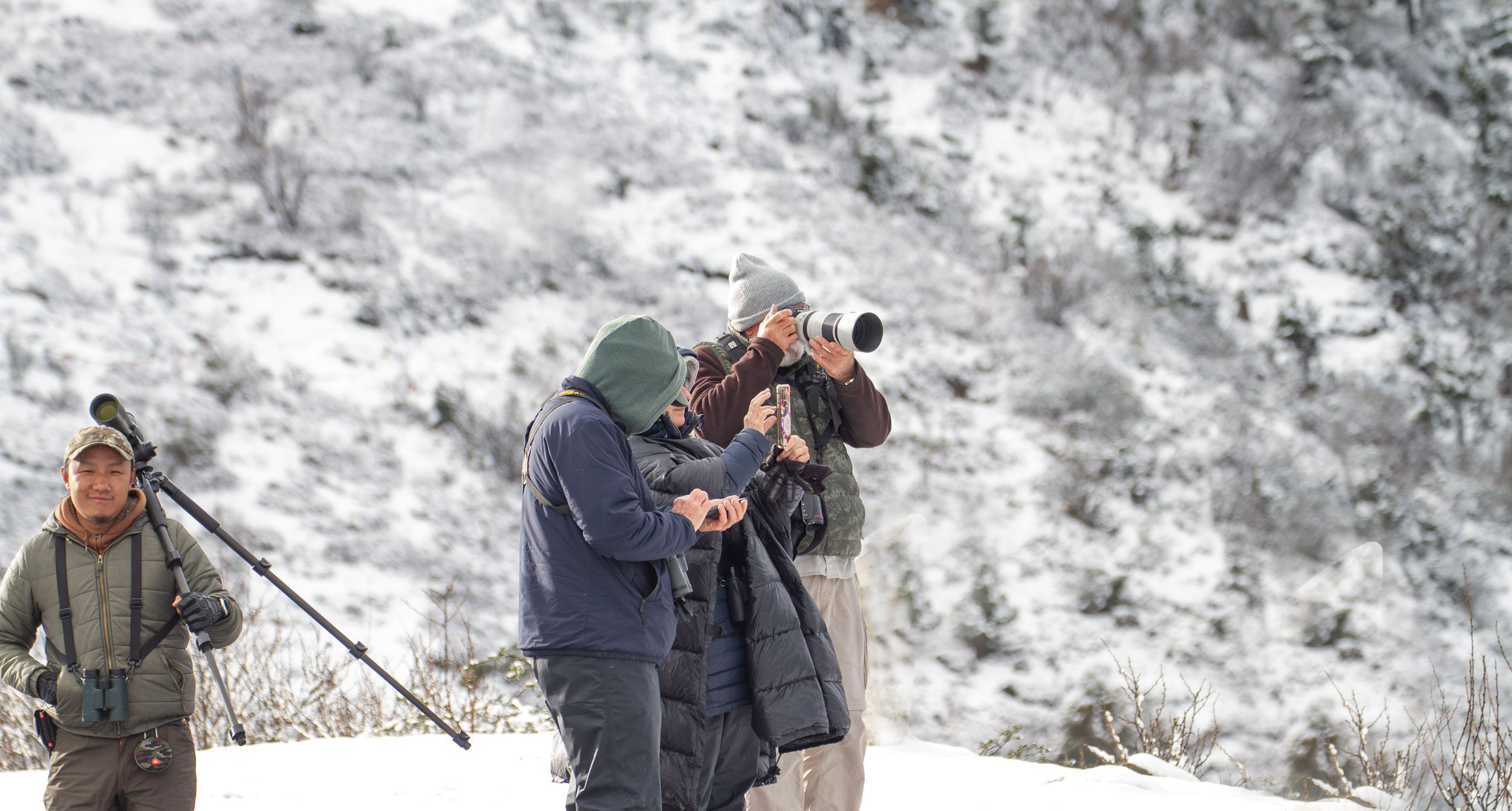 Winter Birding Tour, Bhutan – Image