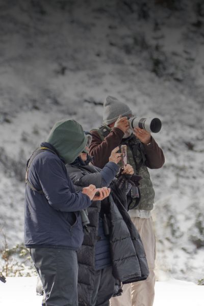 Why Bhutan is a Top Destination for Bird Photographers
