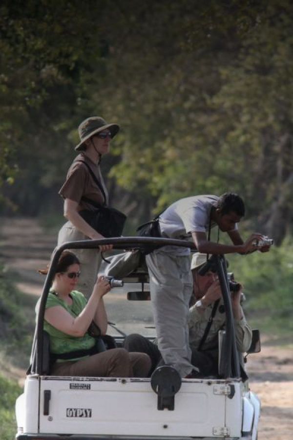 Top 10 Must-See Bird Species in Bhutan