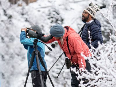 Bhutan Bird Watching in winter