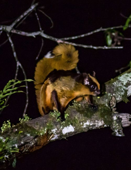 Sakteng Wildlife Sanctuary