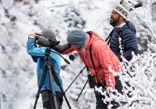 Bhutan Bird Watching in winter